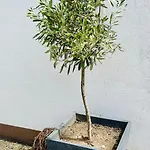Apartmán Auental-appartment *