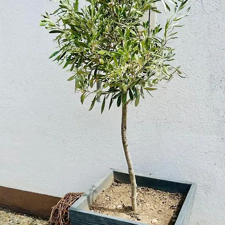 Apartmán Auental-appartment *